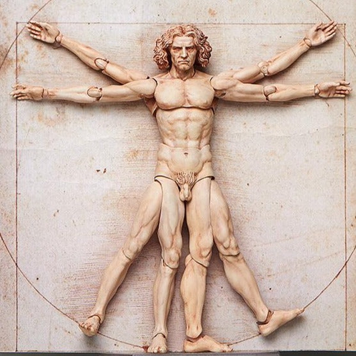 [Backorder] Figma SP-075 Vitruvian Man (2nd re-run)